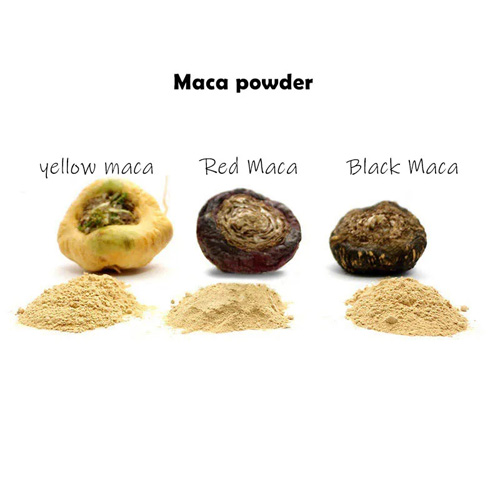 Maca Extract Powder (2)