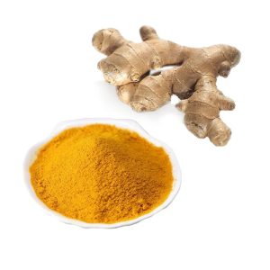 Turmeric extract powde (1)