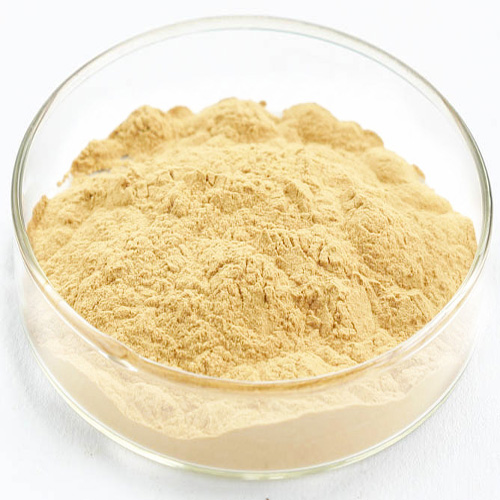 ginseng extract powder (2)