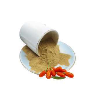 wolfberry extract powder1