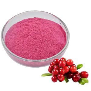 Cranberry Extract powder (1)