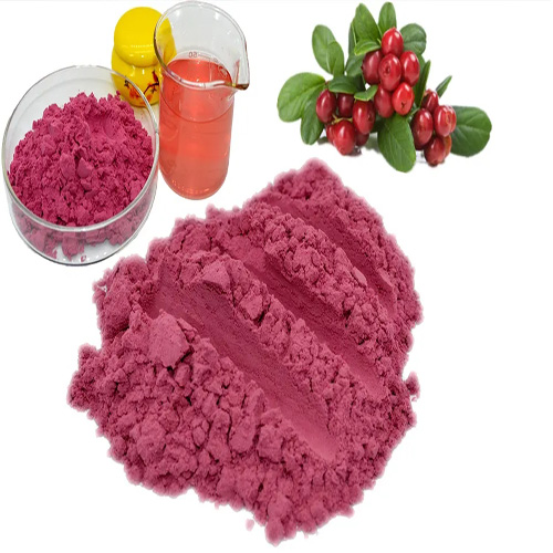 Cranberry Extract powder (2)