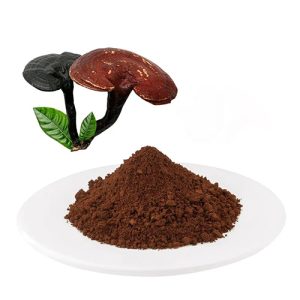 Ganoderma lucidum powder (2)