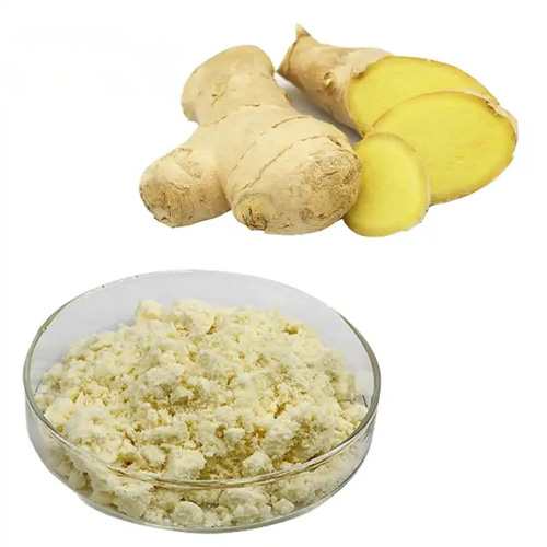 Ginger Extract Powder (1)
