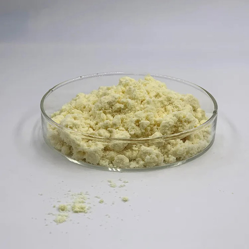 Ginger Extract Powder (2)