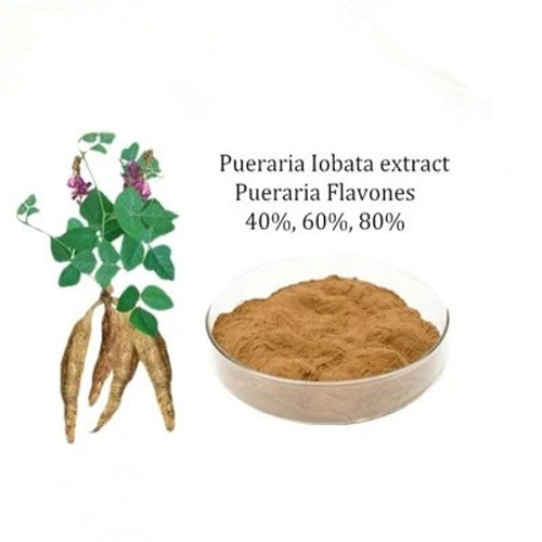 Pueraria root powder (2)