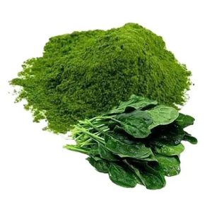 Spinach extract powder (1)
